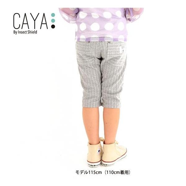 CAYA CZNgV[h Z[ Xgb`6pcijZbNXjyxr[ LbY WjA  oR Lv o[xL[ K[fjO ނ E