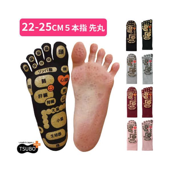   5{w\bNX 22-25cm C fB[X ܖ{wC { N e  PA ObY }bT[W si ނ ډ v[g Mtg