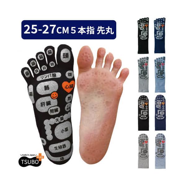 O} C Y mikasa ʑ 5{w  \bNX { ܖ{w fB[X ڃ}bT[W TSUBOVs Mtg v[g C̎O}