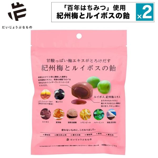 2点セット だいじょうぶなもの 百年はちみつ飴 紀州梅とルイボスの飴 梅飴 キャンディ 個包装 レザーウッドハニー 梅エキス ルイボス 添加物不使用 無添加 ギル