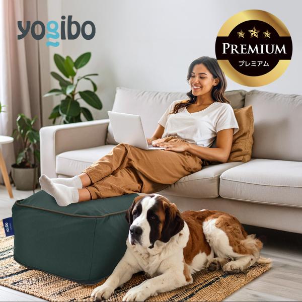 ヒヨコさま専用 1ソファ本体 ヒヨコさま専用 1ソファ本体