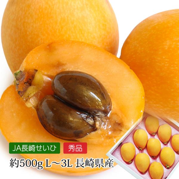 びわには改良品種が多いですが、長崎県で生産されるびわが何と言っても有名です。果形は長卵形の大果で、果皮は指先で容易に剥けるほど薄く、橙黄色の果肉は厚く、ことにこのびわが珍重されるのは甘味の多い点です。「木の上にひとり枇杷くふ童かな」、子規の...