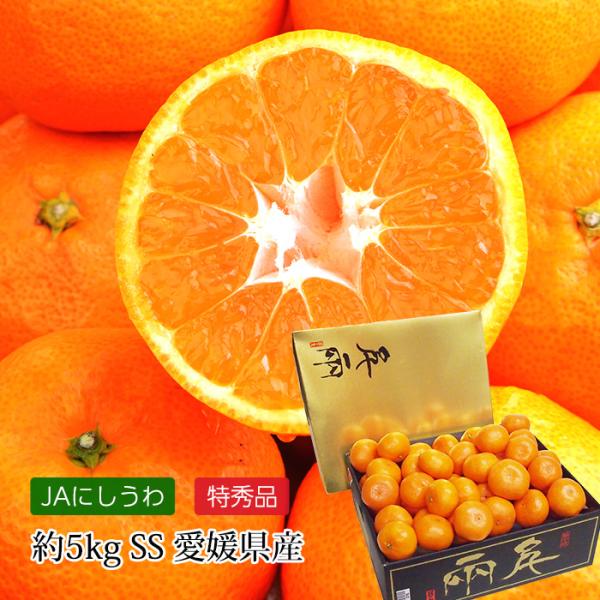 高級みかん 愛媛県産 ゴールド千両 日の丸みかん 特秀品 約5kg SSサイズ 70〜80個 小玉 小粒 JA西宇和協賛 爆買