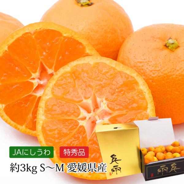 みかん 愛媛県産 ゴールド千両 日の丸みかん 特秀品 約3kg S〜Mサイズ 30〜36個 JA西宇和協賛 爆買