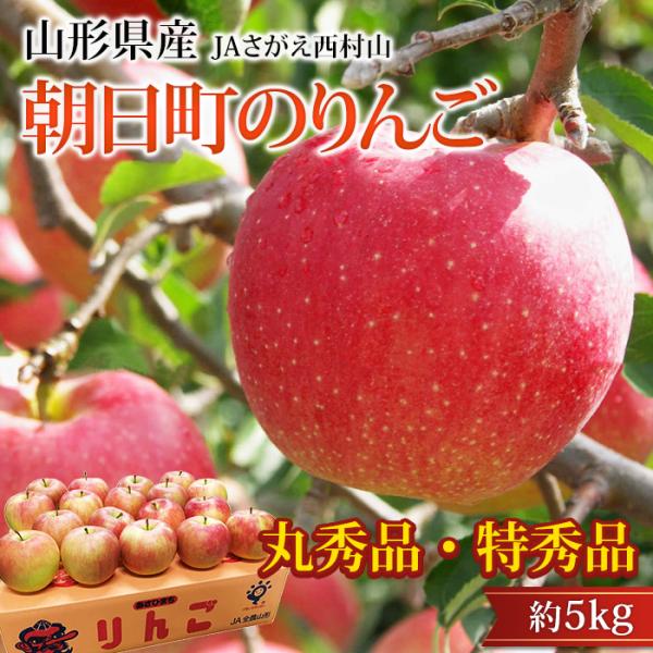りんご 朝日町のりんご 山形県産 秋陽 シナノスイート 王林 サンふじ 丸秀品 特秀品 約5kg 16〜20玉