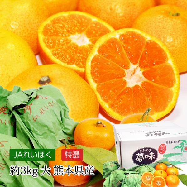 高級みかん 夢味 熊本県産 越冬袋掛けみかん 特選 約3kg 大サイズ 約35