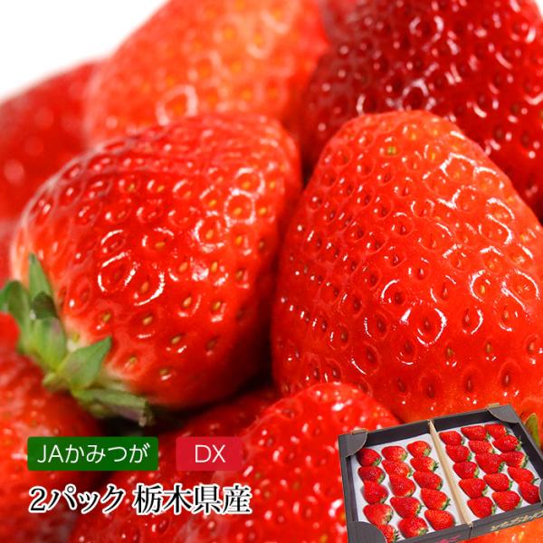 いちご とちおとめ 2パック JAかみつが DX