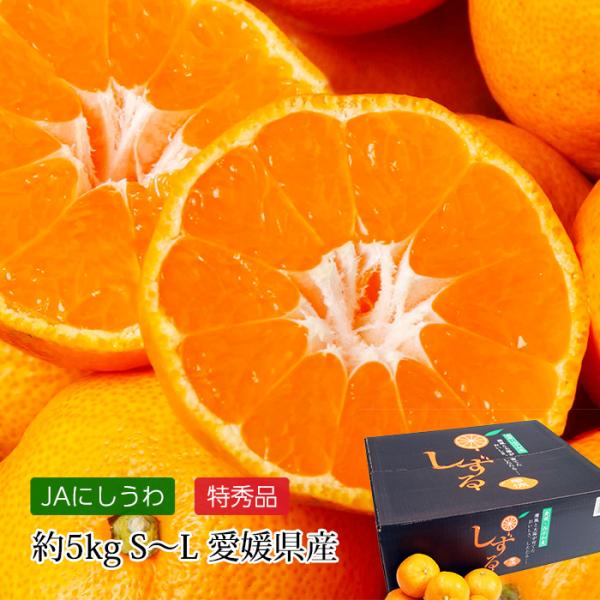 カルフォルニアオレンジ40こ＆りんご20こ＆にんにく1kg カルフォルニアオレンジ40こ＆りんご20こ＆にんにく1kg