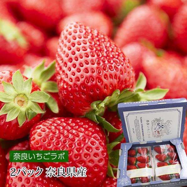 いちご 奈良県産 古都華 2パック : 産直プレミアム - 通販 いちご 奈良県産 古都華 2パック : 産直プレミアム - 通販