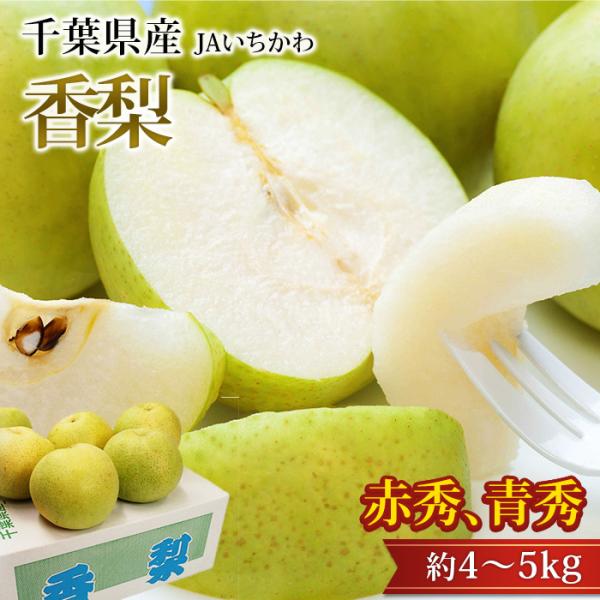 梨 香梨 千葉県産 青秀 赤秀 約4〜5kg 5〜8玉