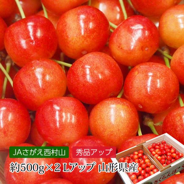 さくらんぼ 佐藤錦 山形県産 秀品アップ Lサイズアップ 約1kg