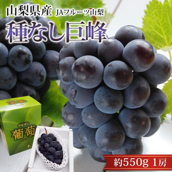 ぶどう 種なし 巨峰 山梨県産 約550g 1房 露地栽培 爆買