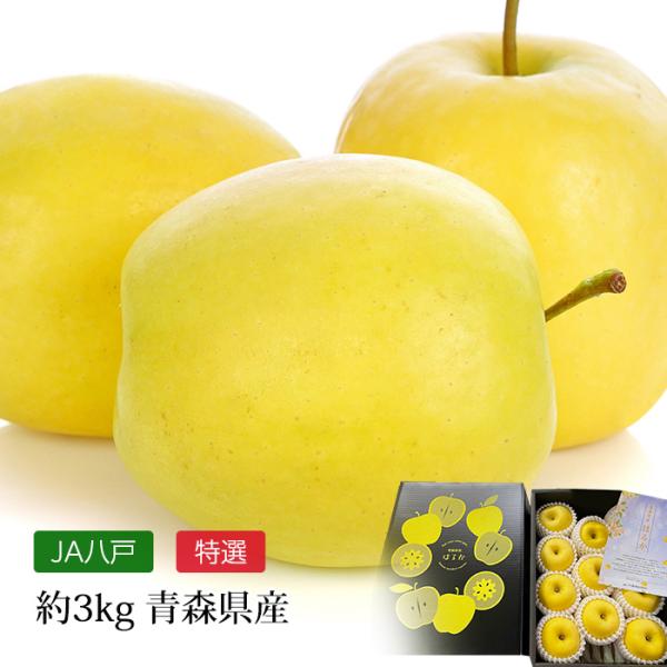 りんご　0507 りんご はるか 青森県産 特選 約3kg 8〜12玉 : 産直プレミアム