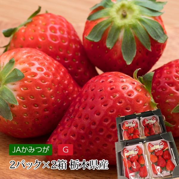 栃木県が生んだいちごの新品種「スカイベリー」。17年の歳月をかけ、10万株以上の中から誕生しました。東京スカイツリーのように大人気のいちごになってほしいとの思いが込められています。大粒できれいな色と形。すっきり甘く、ジューシーなおいしさ。い...