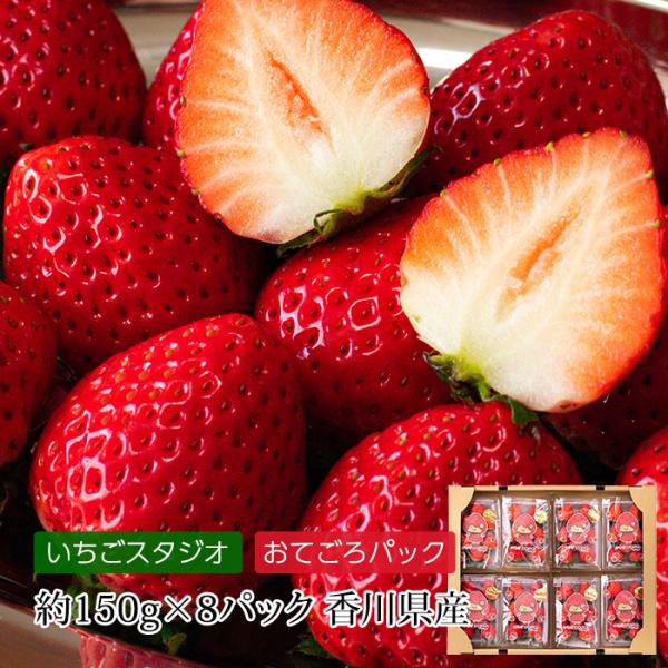 いちご 香川県産 さぬきひめ おてごろパック 約1.2kg 8パック いちご 香川県産 さぬきひめ おてごろパック 約1.2kg 8パック