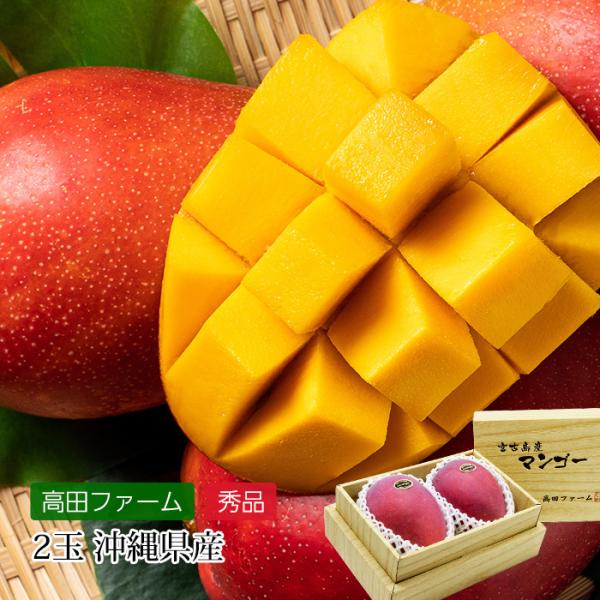 マンゴー 宮古島マンゴー 沖縄県産 秀品 2玉 : 産直プレミアム