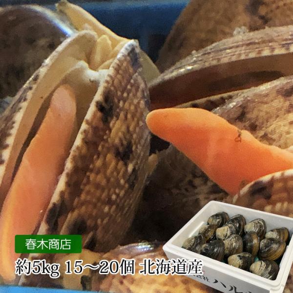 貝類 北海道産 天然活ホッキ貝 約5kg 15〜20個 爆買