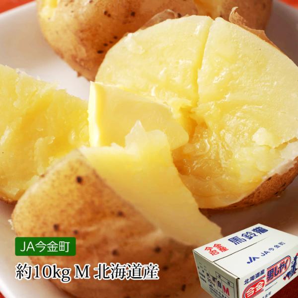 じゃがいもん Z/X ゼクス じゃがいも初収穫 ミーリィ SEC カードガチャ