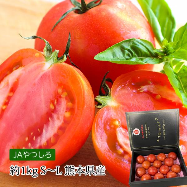 「ロイヤルセレブ」は「太陽の子セレブ」の糖度基準の8度を上回る10度以上が条件となっております。そのため入荷量も限定的で一段と希少価値が上がり「太陽の子セレブ」以上にレアな塩トマトとなっています。とまと/野菜/フルーツ/お取り寄せ/ギフト/...