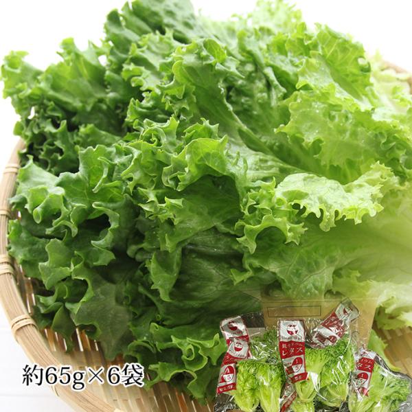 クレアチニンの数値が気になる方へうってつけなのがカリウム含有量が通常のレタスの1/5の低カリウムレタスです。クリーンベジの低カリウムレタスは美味しさや食感、栄養分はそのままにカリウム含有量だけを80%以上カット。あきらめていた生野菜を食卓に...