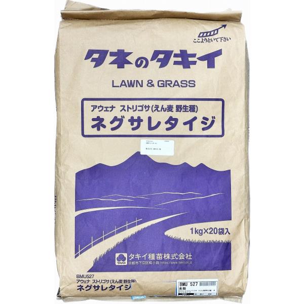 ※業務用の原袋ですので、汚れや擦り傷等有ります。また、個包装にキズや破れがあることがありますがあらかじめご了承くださいませ。商品情報種類：アウェナストリゴサ（えん麦野生種）　品種名：ネグサレタイジ　説明：ネグサレタイジはキスジノミハムシやダ...