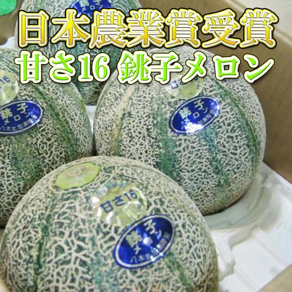 甘さ16 銚子メロン アムスメロン 日本農業賞受賞 3〜6玉 約5kg 送料