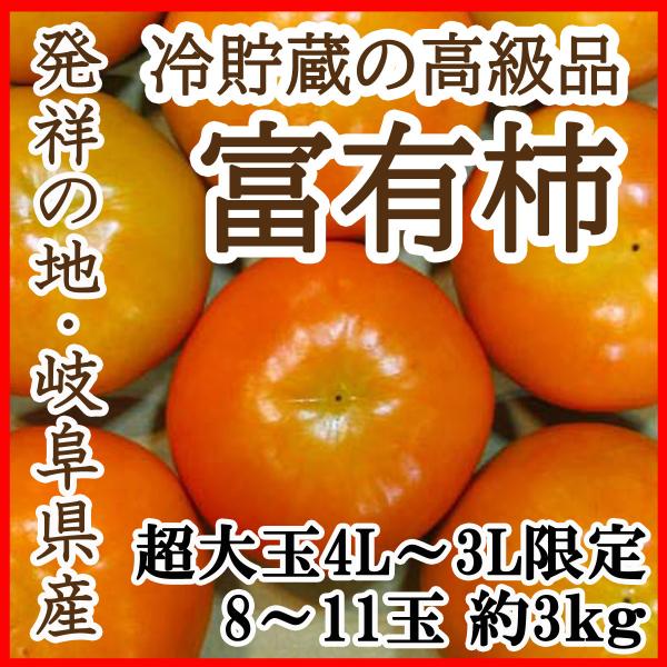 柿 富有柿 岐阜の人気商品・通販・価格比較 - 価格.com