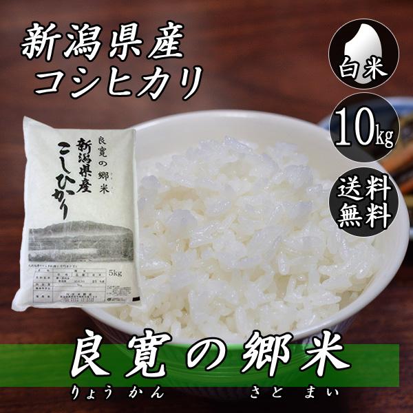 農家直送 令和7年度産コシヒカリ 白米30キロ 送料無料（一部地域