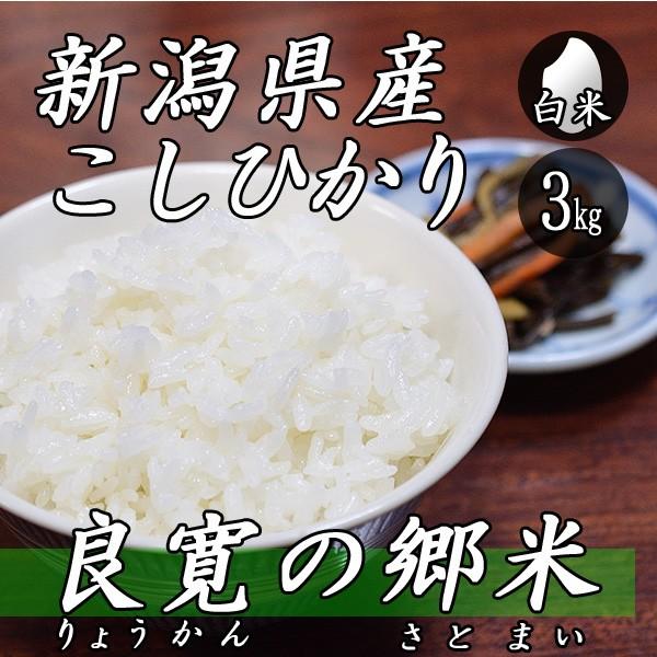 訳あり商品 新米 新潟県 4年産 コシヒカリ 白米 3kg 3kg×1袋 お米 米 新潟県 4年産 コシヒカリ 白米 3kg(3kg×1袋) お米 米