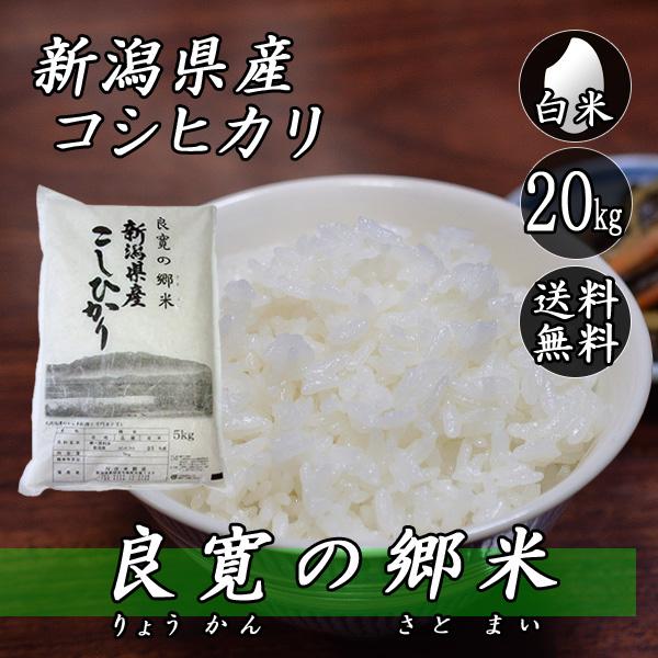 令和2年産 コシヒカリの中米 白米20kg 米 白米 2kg コシヒカリ 新潟県産 令和7年産 コシヒカリ お米 2キロ