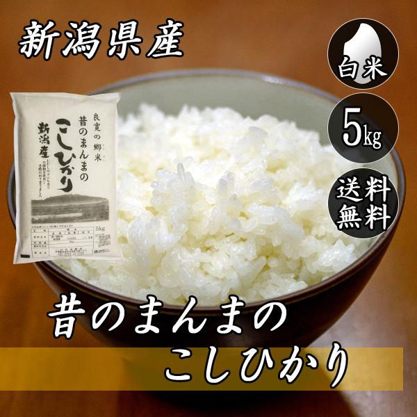 新潟県産コシヒカリ白米５キロ×２袋(令和７年産) コシヒカリ 令和7年産 新潟県産 昔のまんまのコシヒカリ 5kg (5kg×1袋