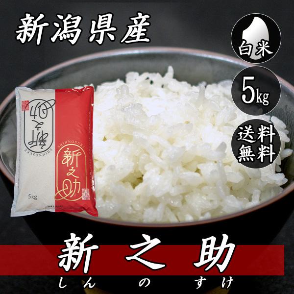 令和7年産　新潟　新之助　白米5キロ2個（5kg×2)1０キロ精米無料★農家直送 令和7年産 新潟県産 新之助 5kg