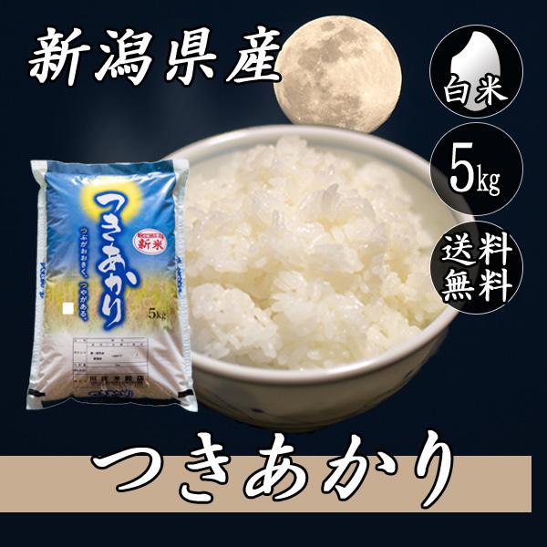 令和7年産 新潟県産 つきあかり 5kg (5kg×1袋) 送料無料(一部地域を