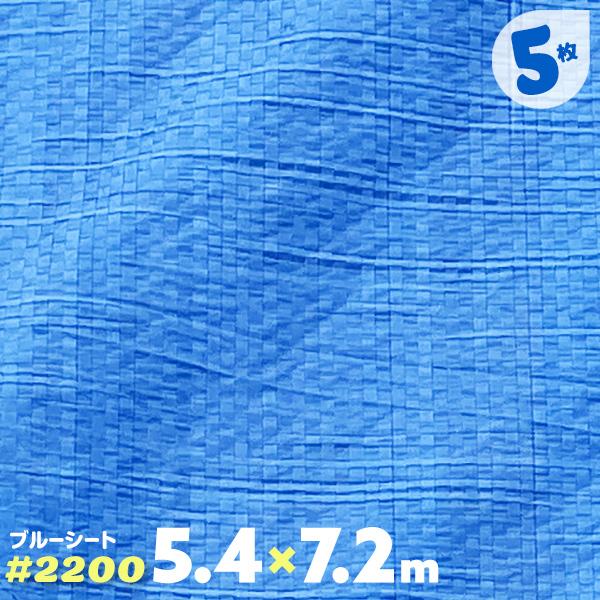 ブルーシート 中厚手 ハトメ 5枚 2200 5.4m×7.2m : 養生ボード屋 
