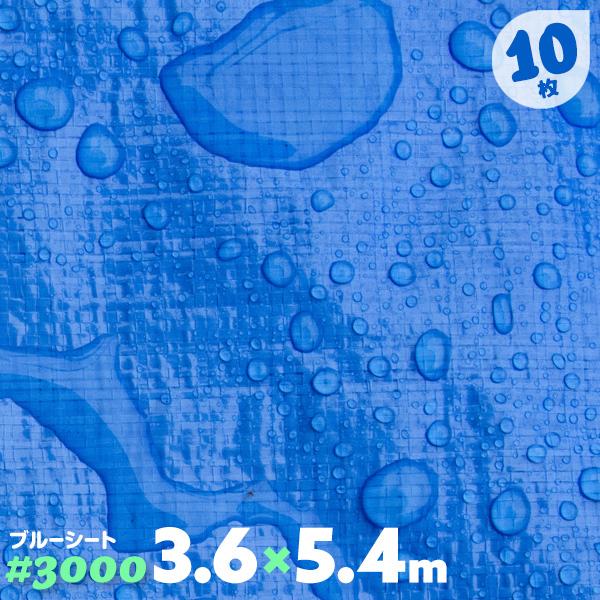 ブルーシート 厚手 防水 ハトメ 10枚 3000 3.6m×5.4m : 養生ボード屋 