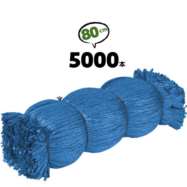シート紐 80cm シートひも シート用紐 足場 紐 青 5000本 : 養生ボード