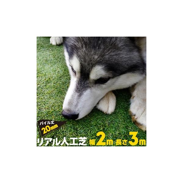 AlH yŏ20mmzy2mzy3mzVRł̂悤  K[f  l ͂ lHŃ}bg eX x_