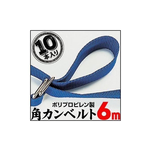 PPpJxg 6.0m 10{ ג߃xg pJxg  z