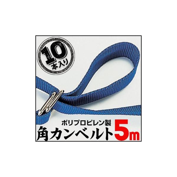 PPpJxg 5.0m 10{ ג߃xg pJxg  z