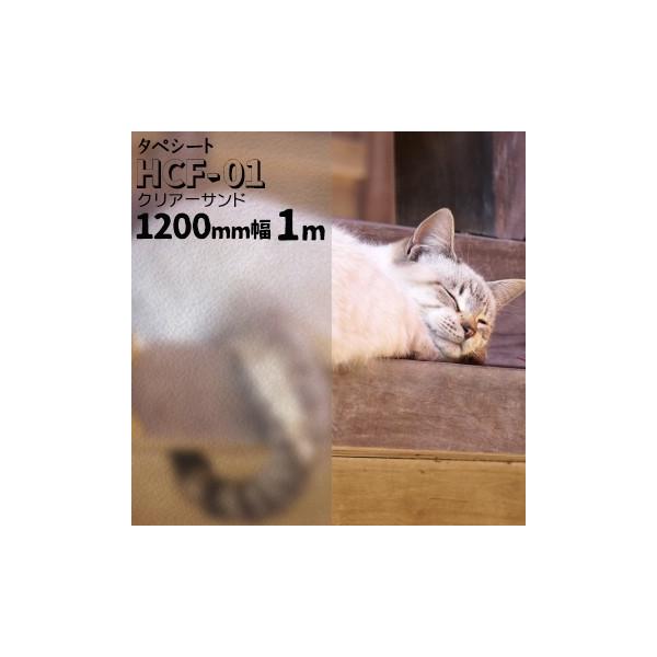 ^yV[g HCF-01 NA[Th  1200mm  1m KXtB KX ډB ܂KX tB   EBh[tB