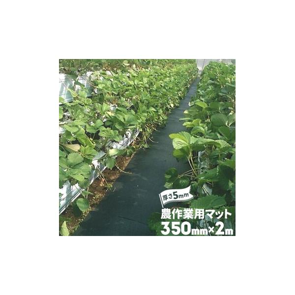 S _Ɨp}bg  5mm 350mm×2000mm  _S}bg h~ ʂ ʘH