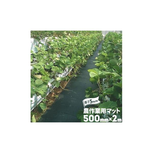 S _Ɨp}bg  5mm 500mm×2000mm  _S}bg h~ ʂ ʘH