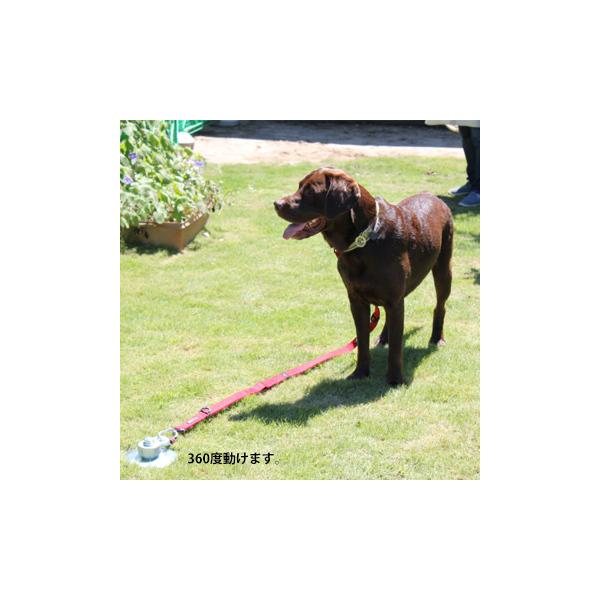 太悦 フレペグ 大型犬用 D F40 250 R 1本 大型犬を安全に繋いでおける 360度自由に動ける大型犬係留ペグ Buyee Buyee 日本の通販商品 オークションの代理入札 代理購入
