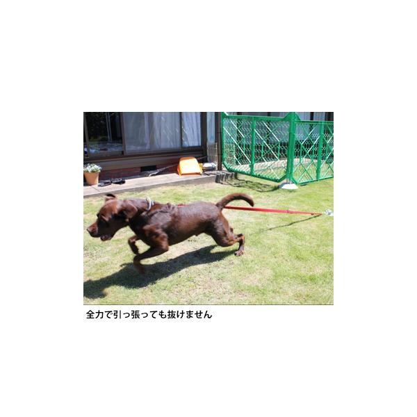 太悦 フレペグ 大型犬用 D F40 250 R 1本 大型犬を安全に繋いでおける 360度自由に動ける大型犬係留ペグ Buyee Buyee 日本の通販商品 オークションの代理入札 代理購入