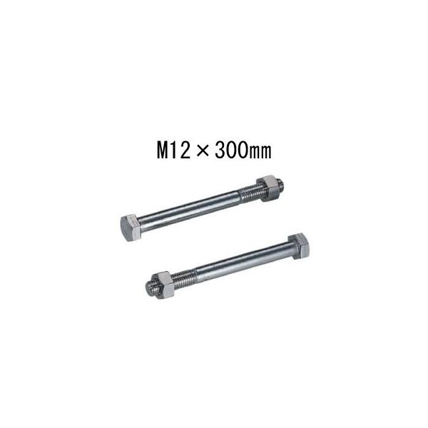 ^iJ XeZp{gM12  M12×300mm  50{  441-4300   b  \ y