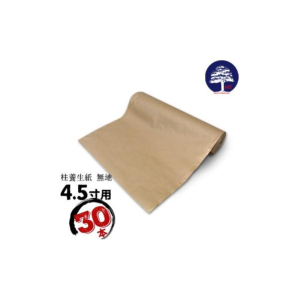 MF GGt { 4.5p unv 30{ { ̕ی zݎ̒{Jo[