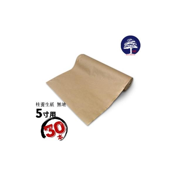 MF GGt { 5p unv 30{ { ̕ی zݎ̒{Jo[