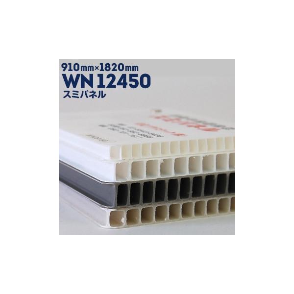 y@l菤izZvebN X~pl WN12450 /O[ 12.0mm 910mm×1820mm 5 v_ vxj |Jv_