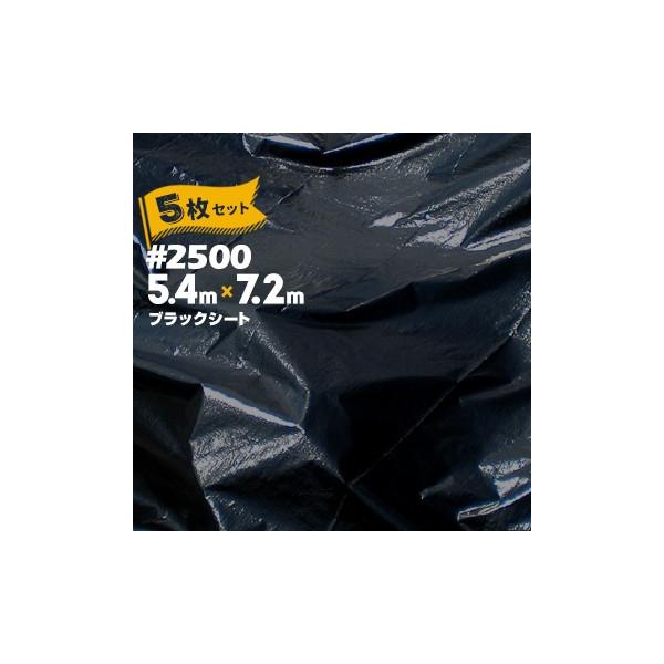 H HAGIHARA ubNV[g #2500 5.4m×7.2m 5 z  y _ {Y h G΍ O΍