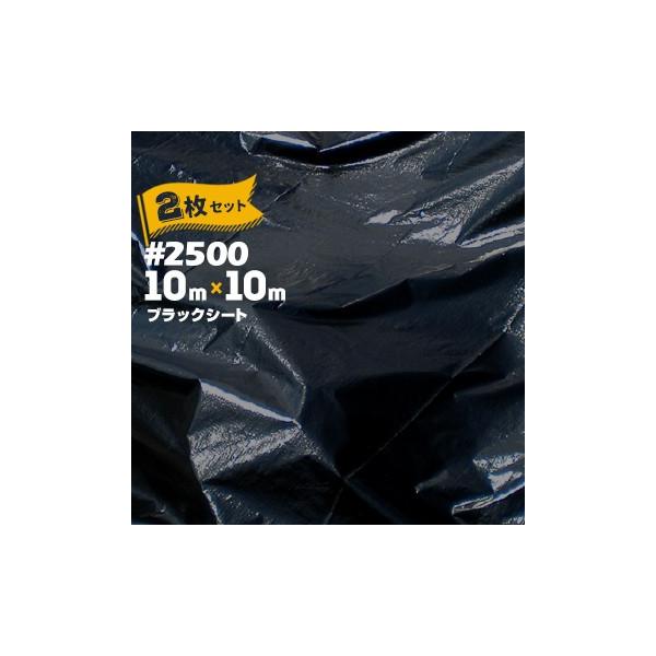 H HAGIHARA ubNV[g #2500 10m×10m 2 z  y _ {Y h G΍ O΍